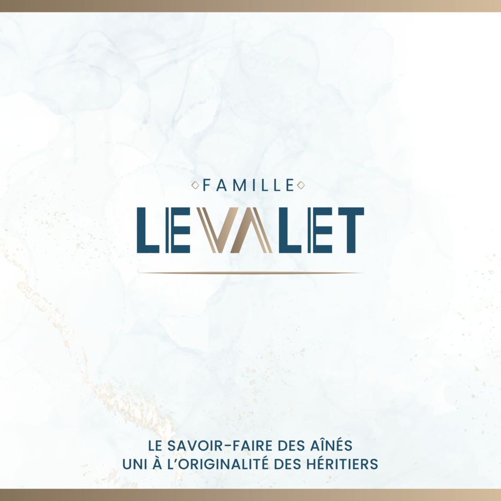 Logo Levalet